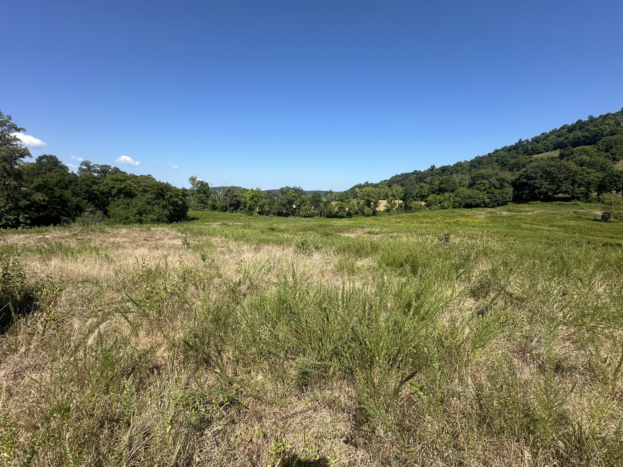 0 Mcclures Bend Lane Carthage TN 37030