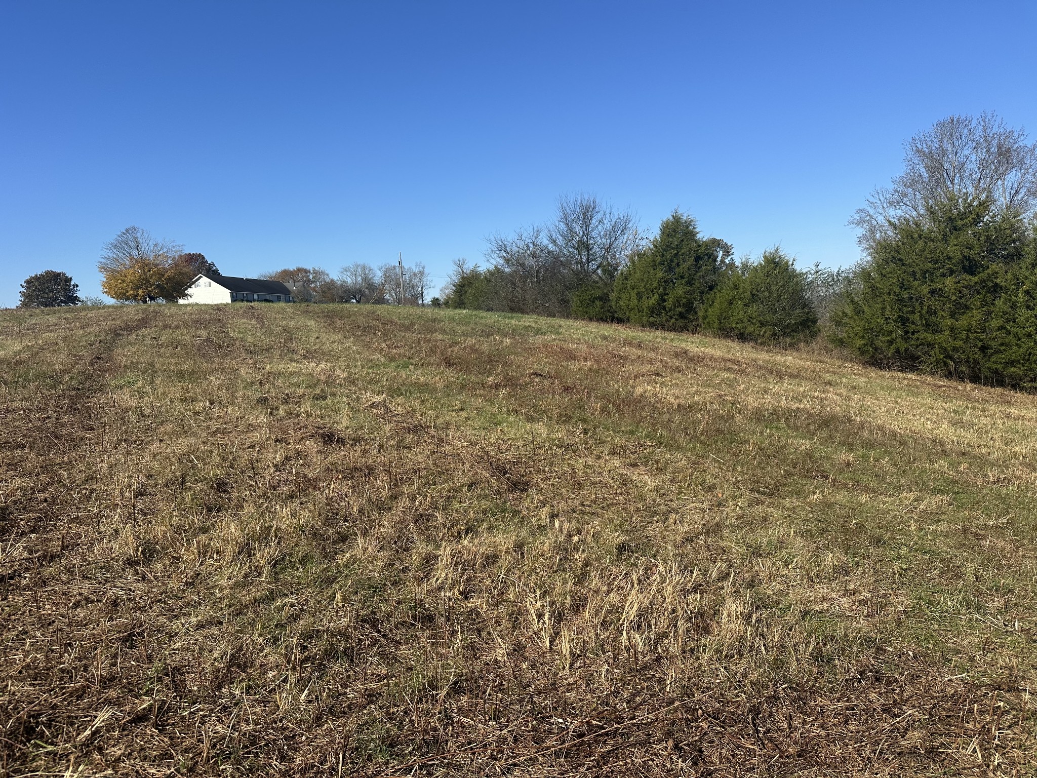 0 Mcclures Bend Lane Carthage TN 37030