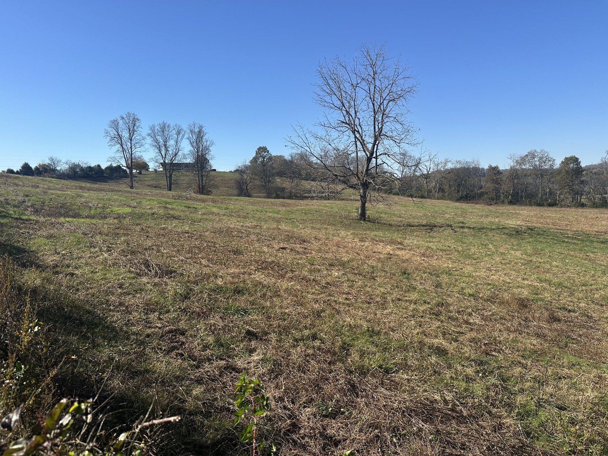 0 Mcclures Bend Lane Carthage TN 37030