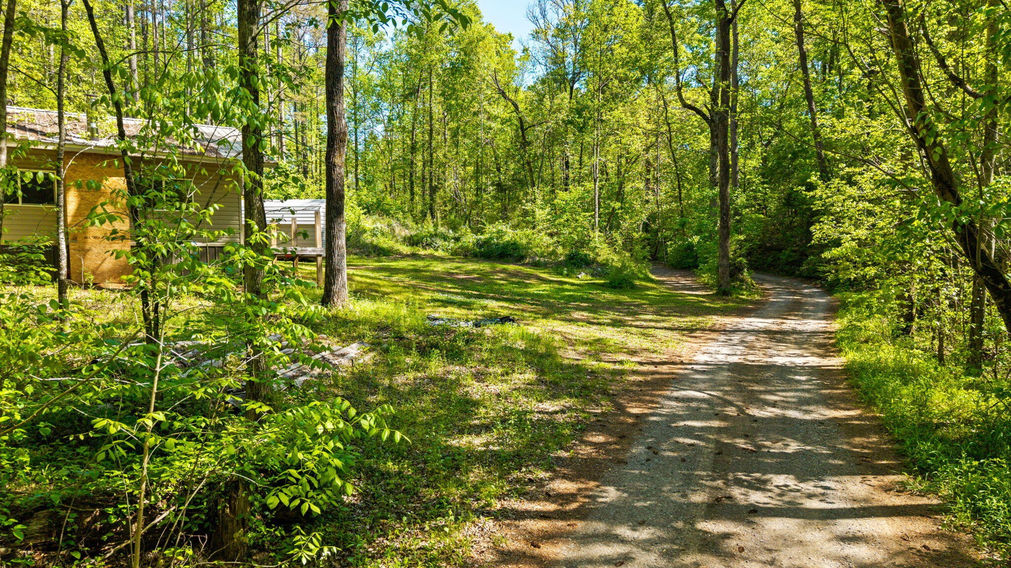 197 Fay Drive Reliance TN 37369