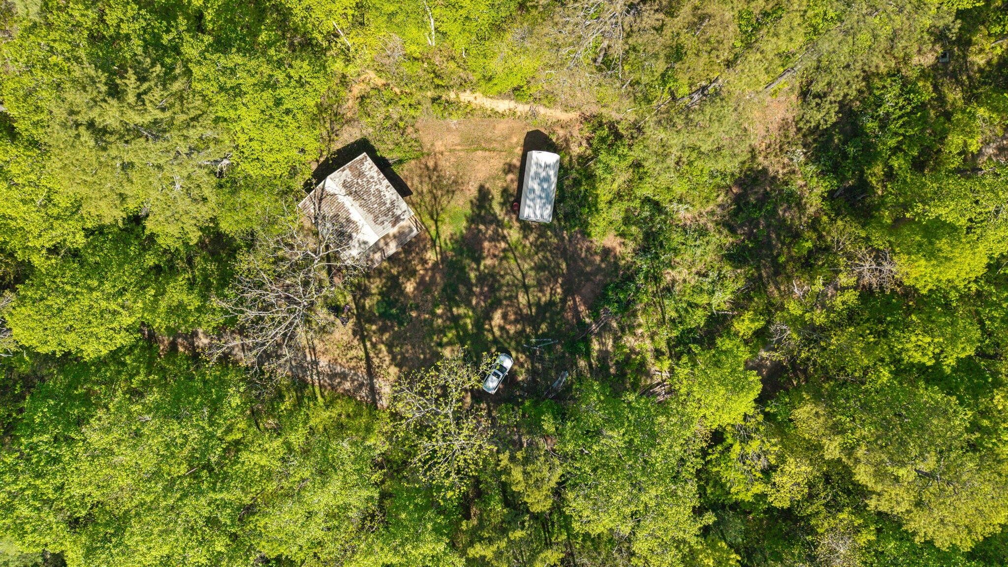 197 Fay Drive Reliance TN 37369