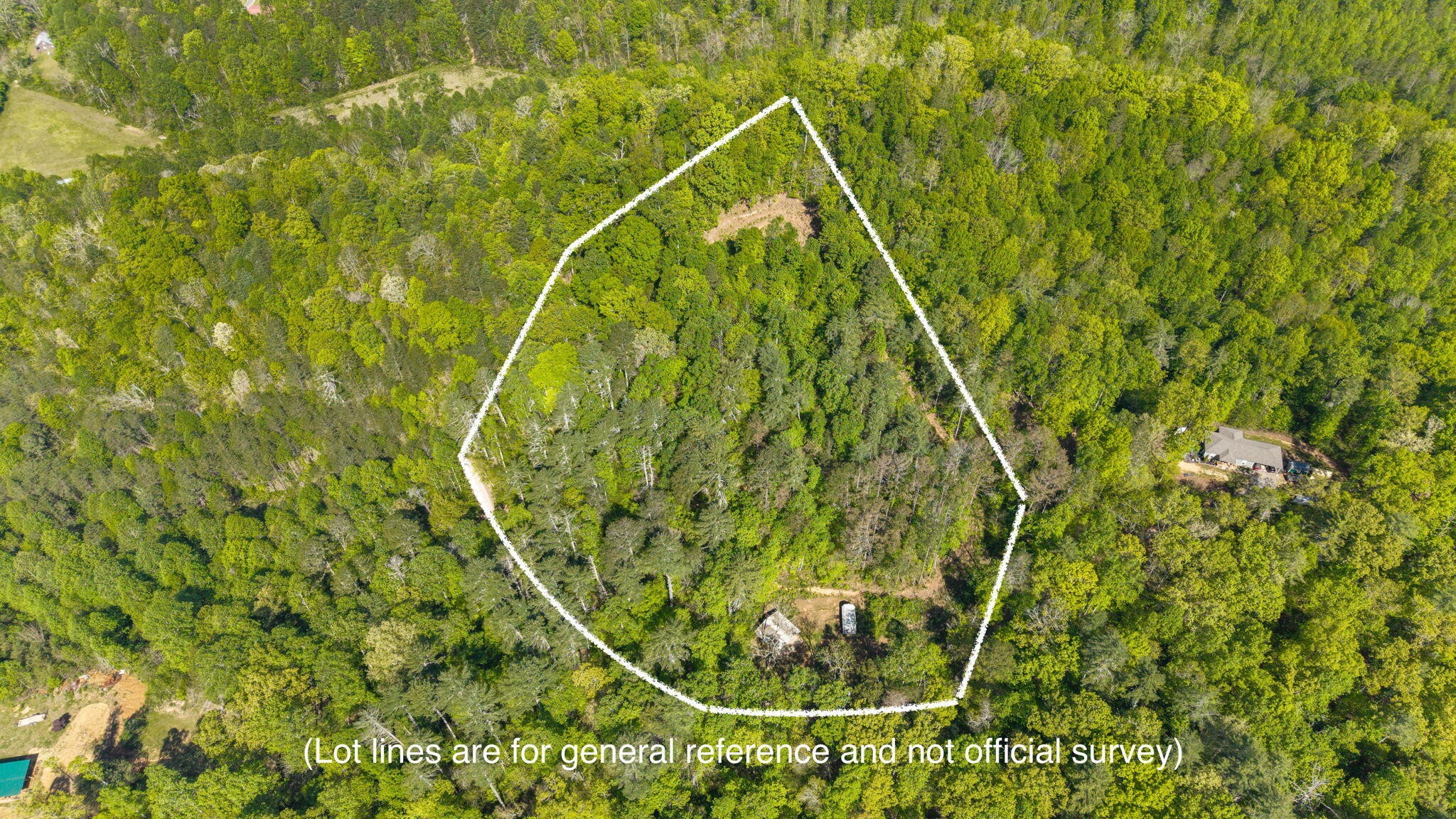 197 Fay Drive Reliance TN 37369