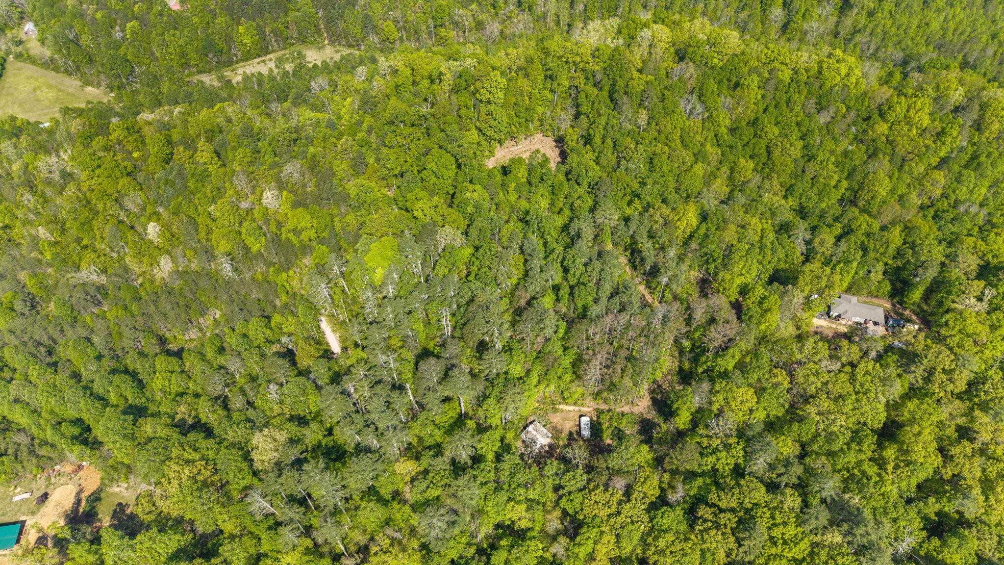 197 Fay Drive Reliance TN 37369