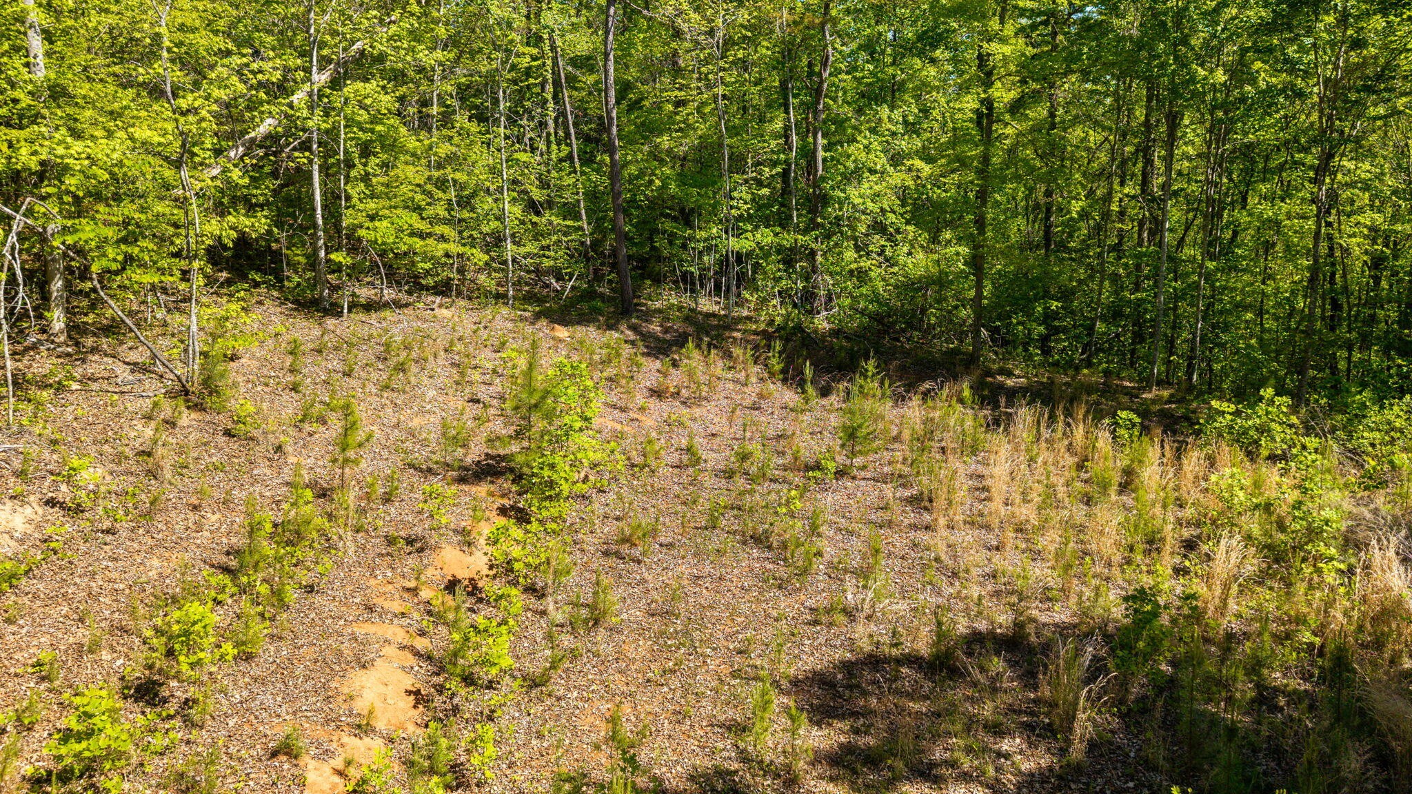197 Fay Drive Reliance TN 37369