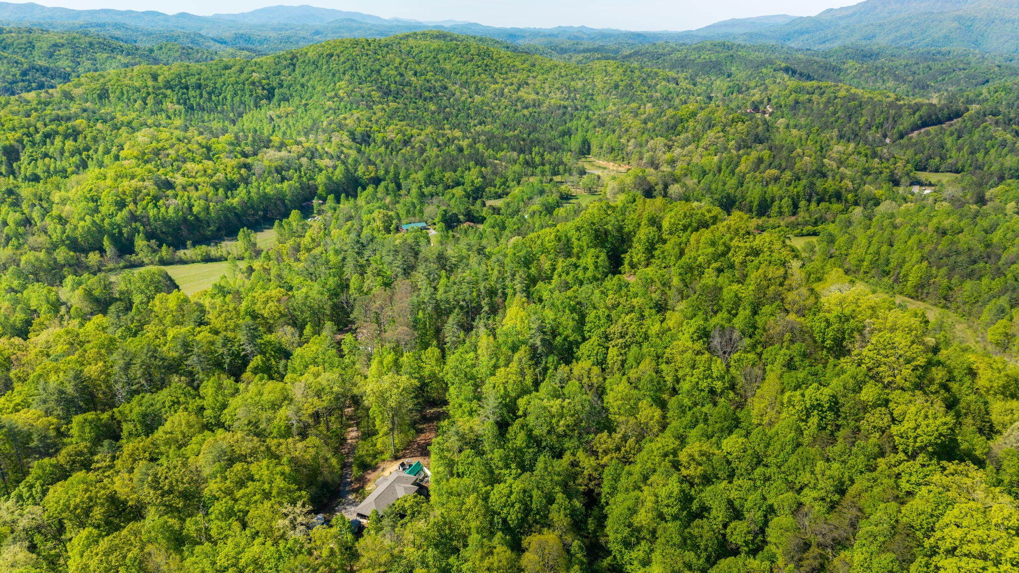197 Fay Drive Reliance TN 37369