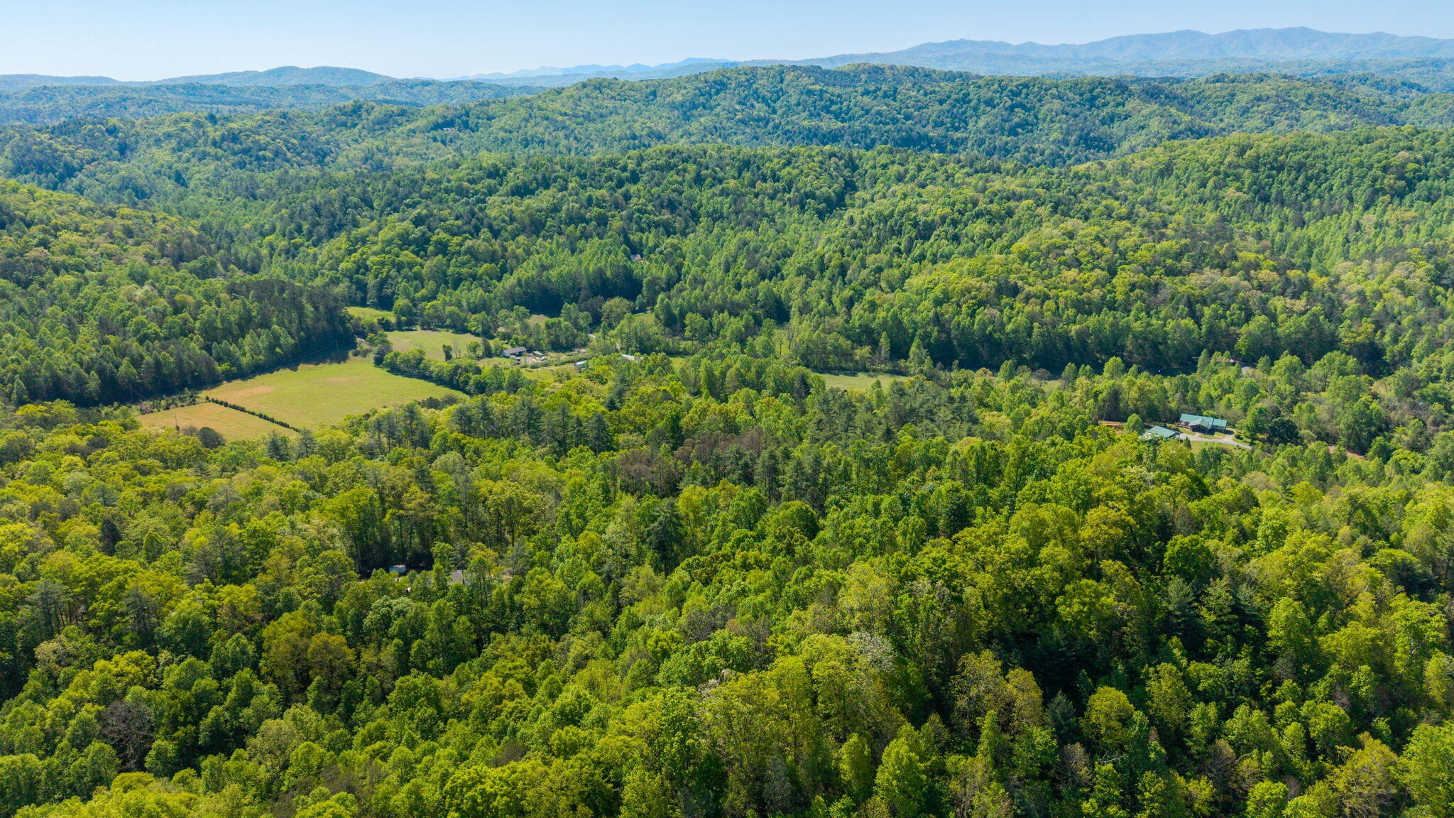 197 Fay Drive Reliance TN 37369