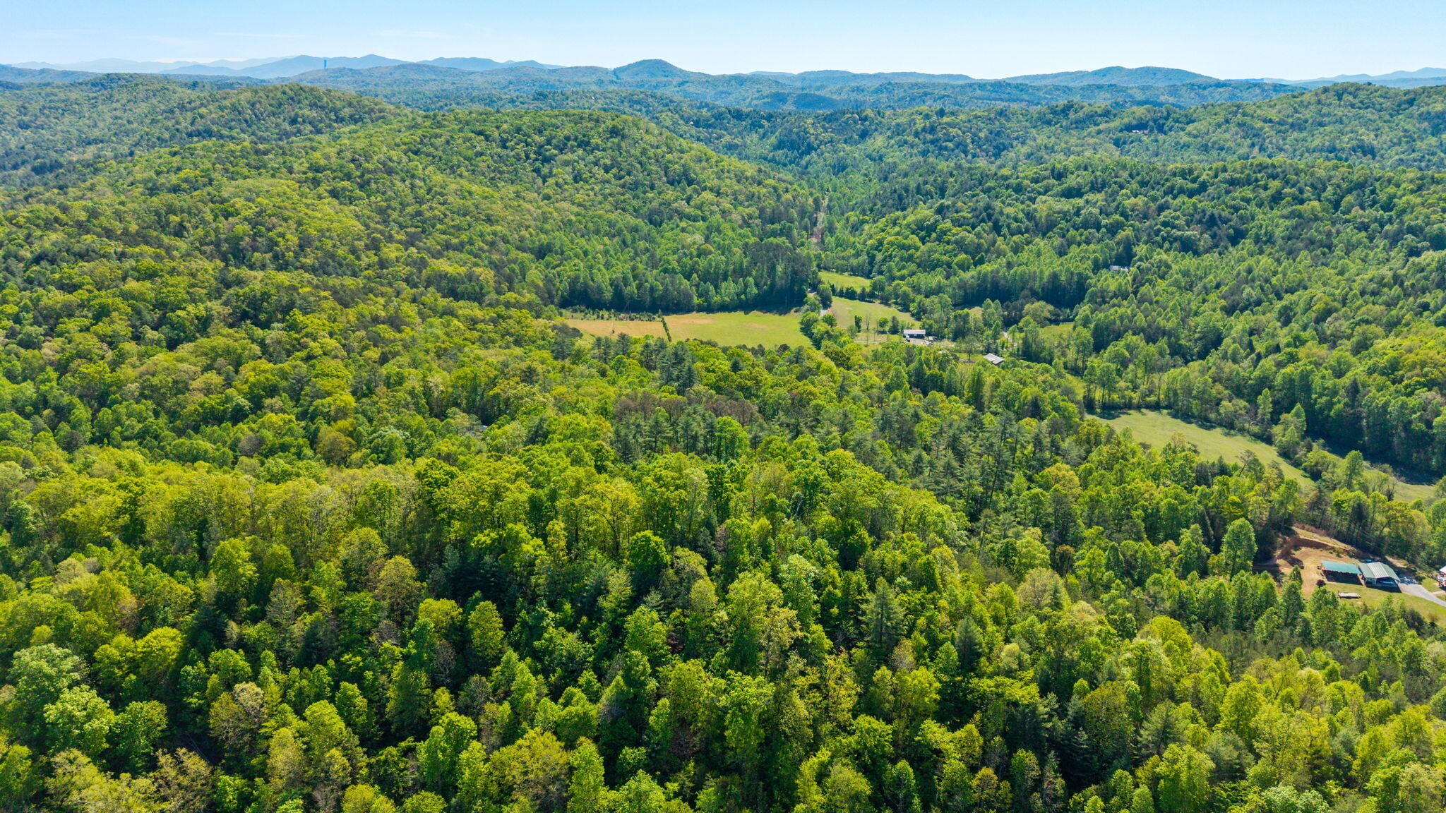 197 Fay Drive Reliance TN 37369