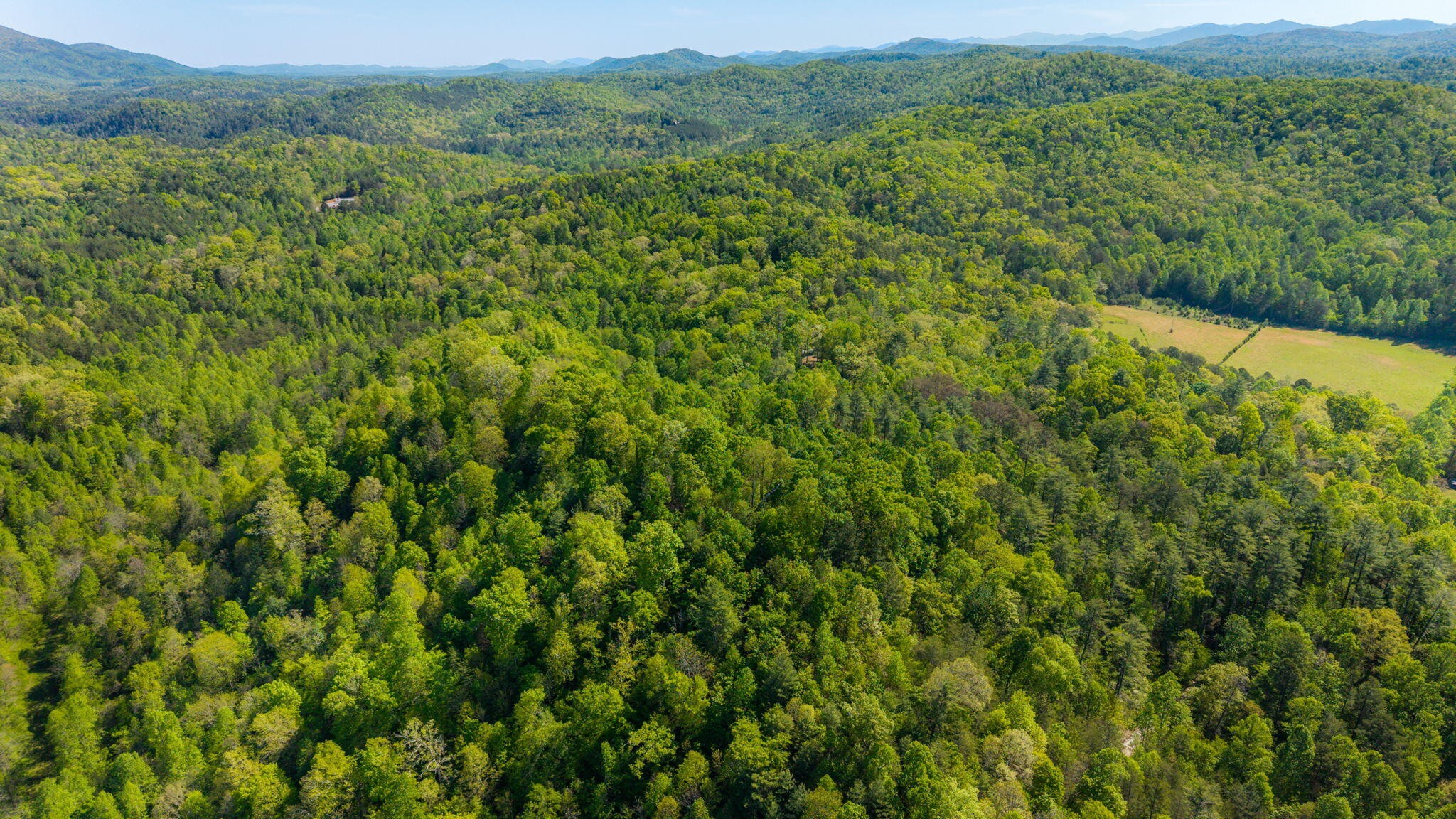 197 Fay Drive Reliance TN 37369