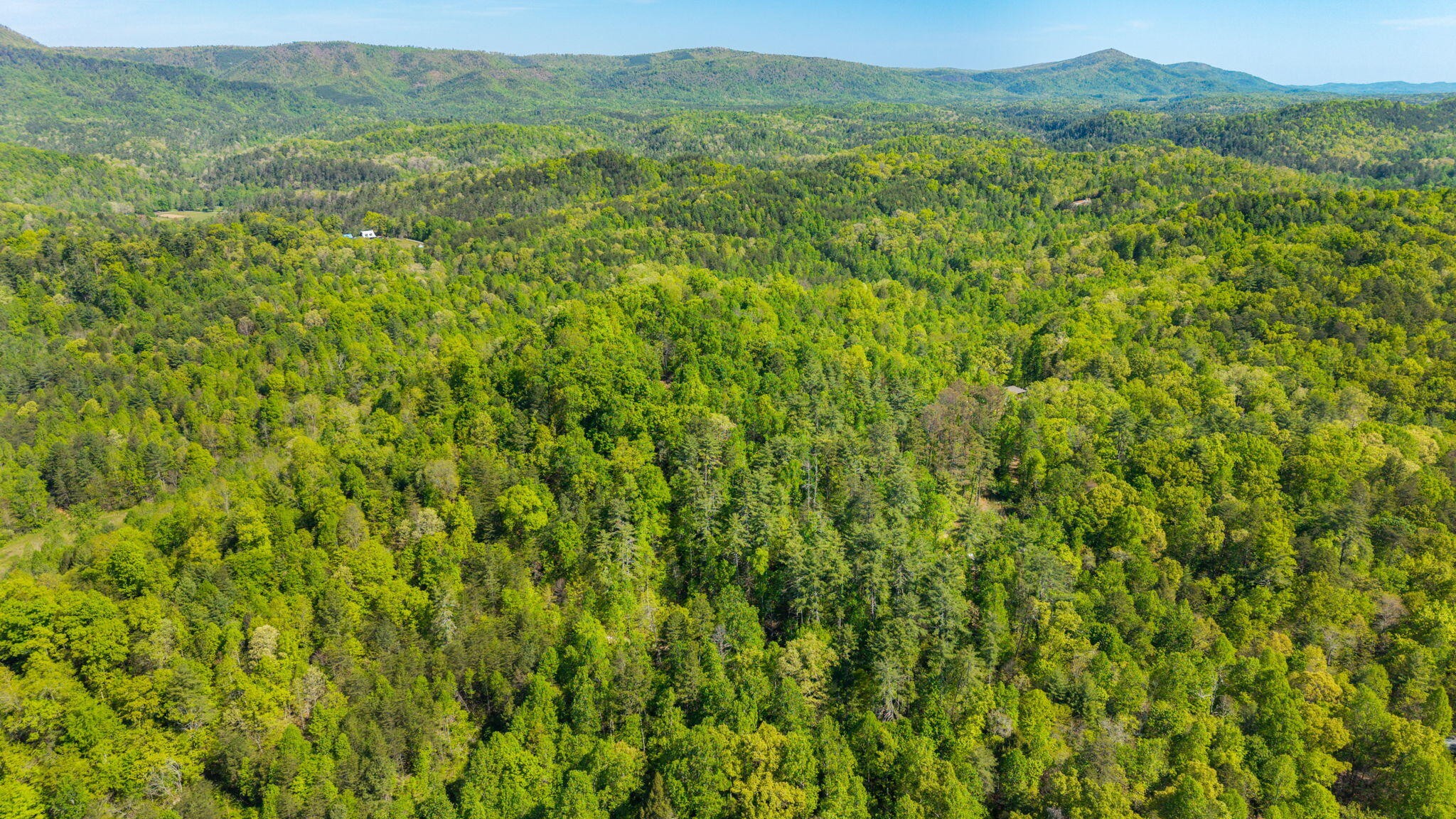 197 Fay Drive Reliance TN 37369