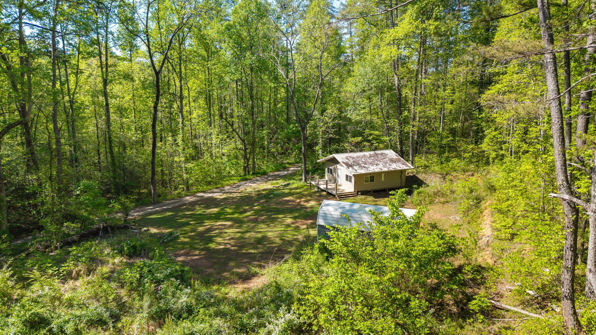197 Fay Drive Reliance TN 37369