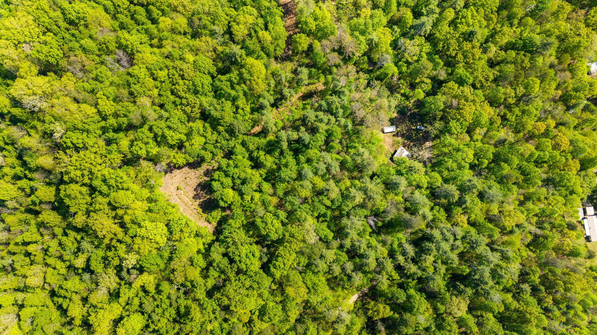 197 Fay Drive Reliance TN 37369