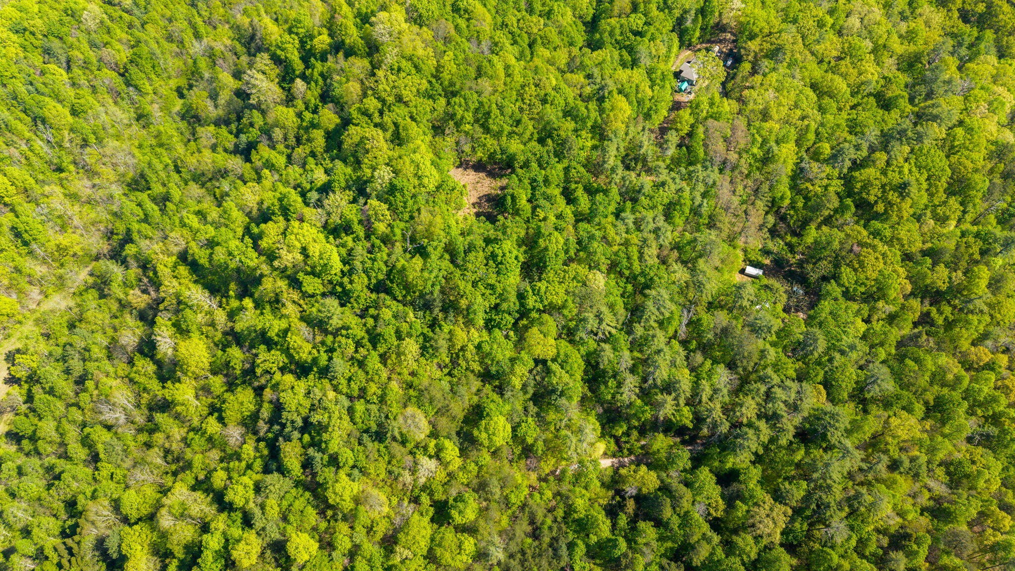 197 Fay Drive Reliance TN 37369
