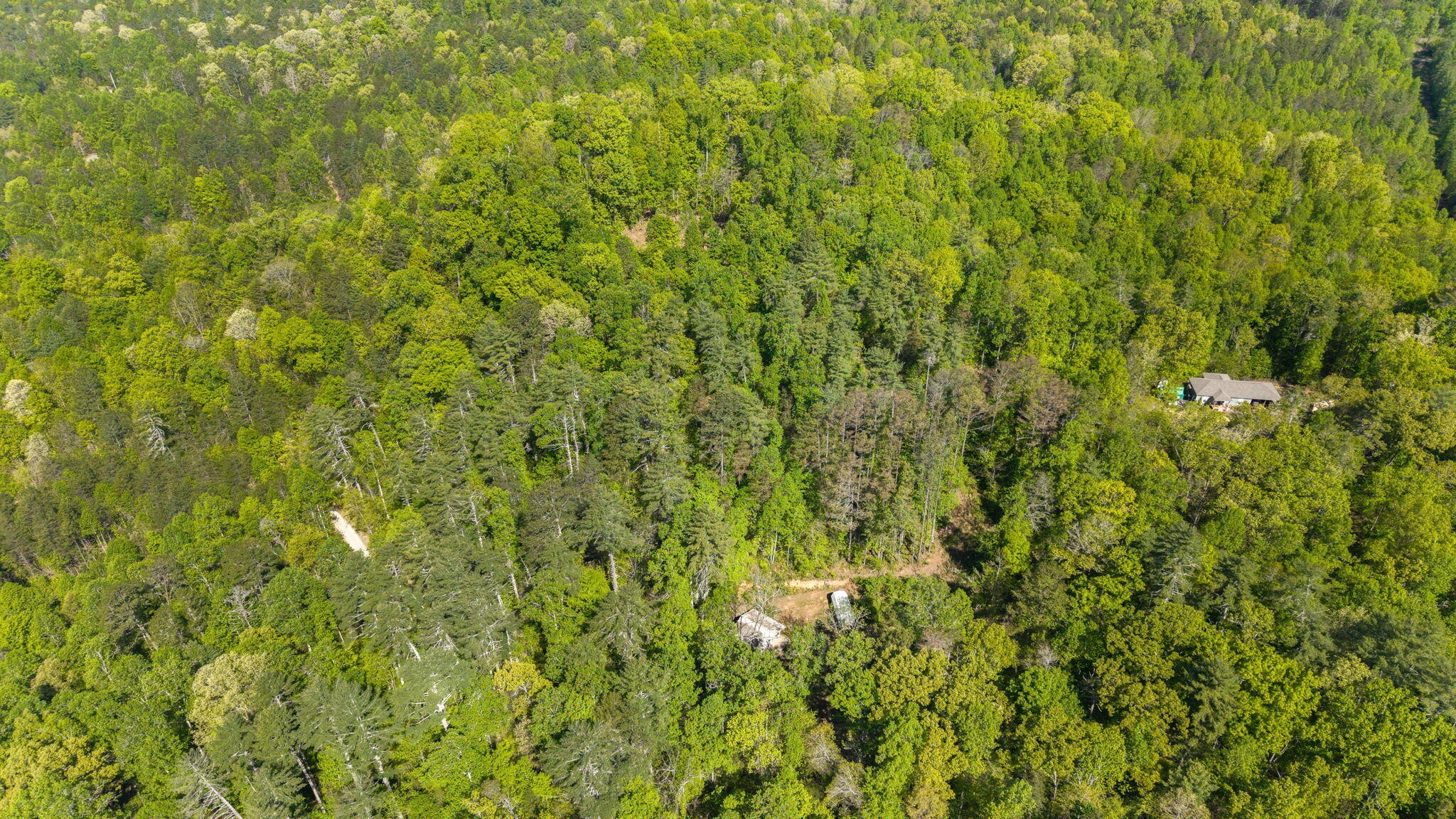 197 Fay Drive Reliance TN 37369