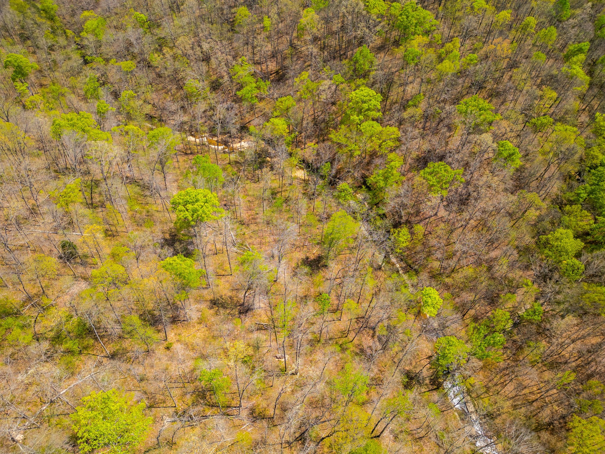 2 Valley View Road Joelton TN 37080