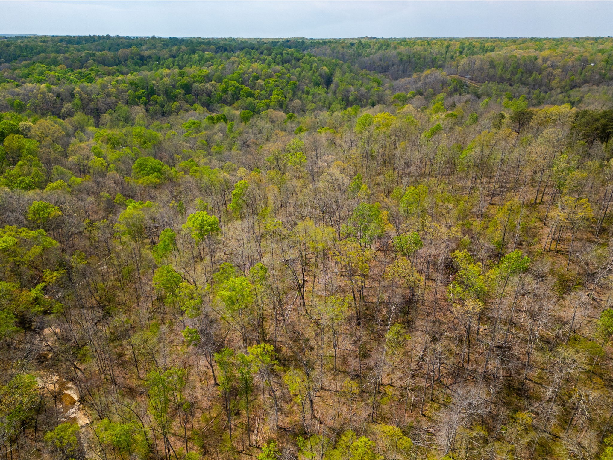 2 Valley View Road Joelton TN 37080