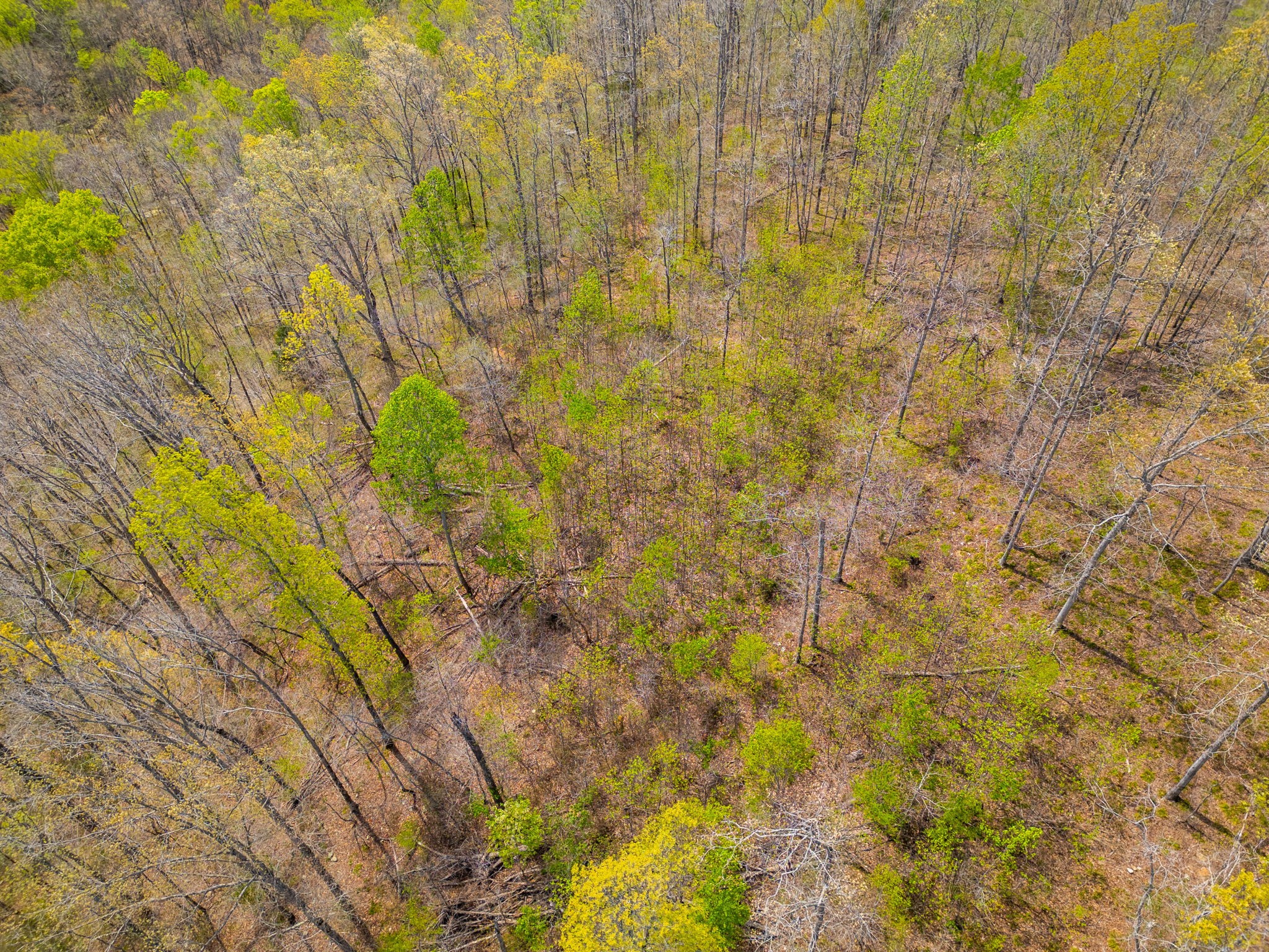 2 Valley View Road Joelton TN 37080