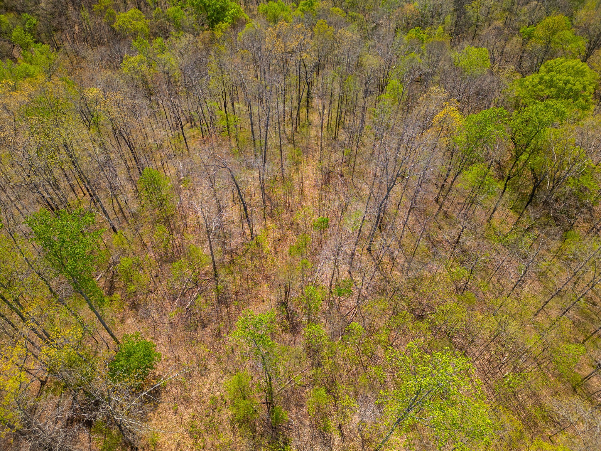 2 Valley View Road Joelton TN 37080
