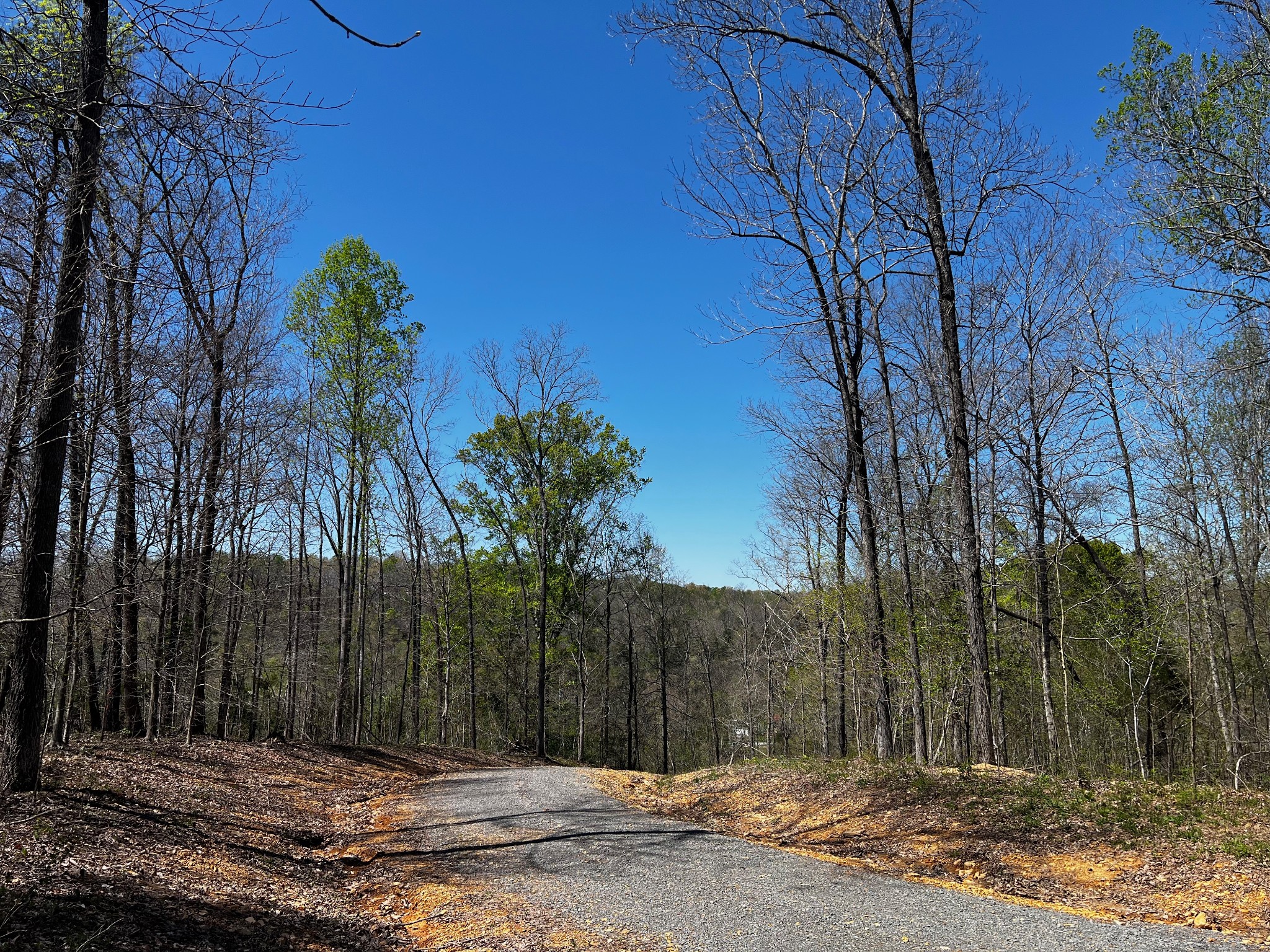 2 Valley View Road Joelton TN 37080