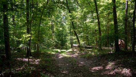 0 Turkey Creek Boat Dock Road Tullahoma TN 37388