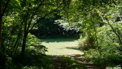 0 Turkey Creek Boat Dock Road Tullahoma TN 37388