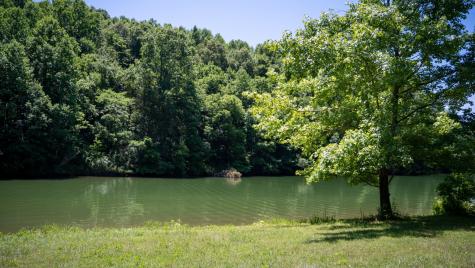 0 Turkey Creek Boat Dock Road Tullahoma TN 37388