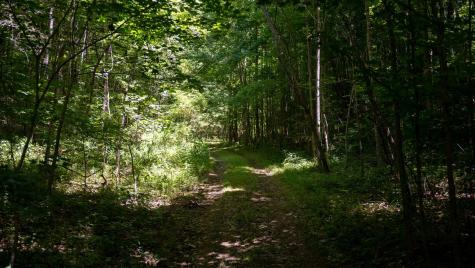 0 Turkey Creek Boat Dock Road Tullahoma TN 37388