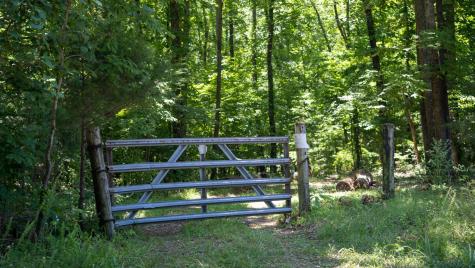 0 Turkey Creek Boat Dock Road Tullahoma TN 37388