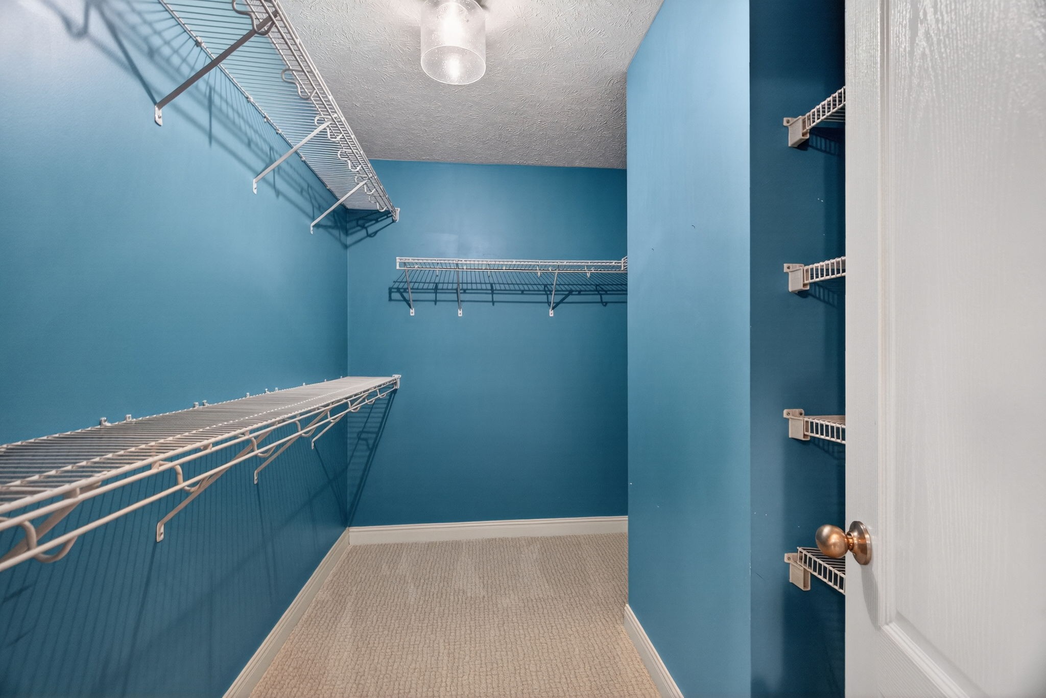 307 Sarah Lane Portland TN 37148
