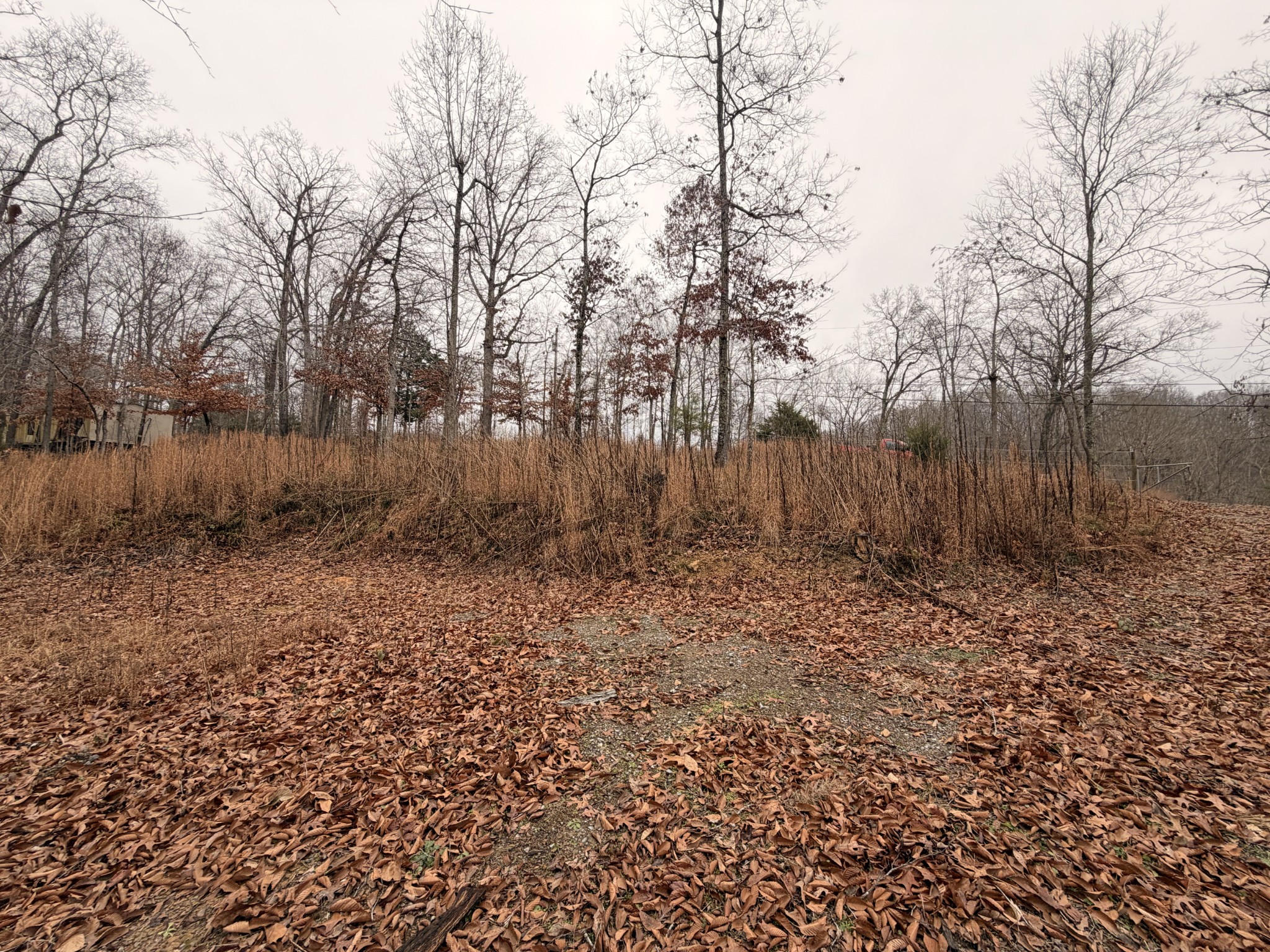 43 Trailwood Court Joelton TN 37080