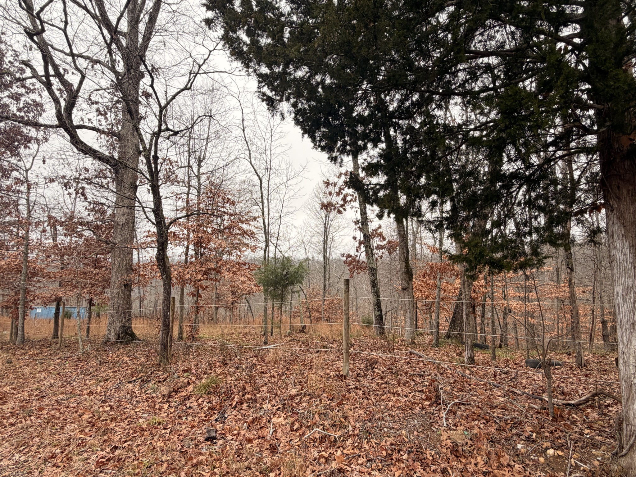 43 Trailwood Court Joelton TN 37080