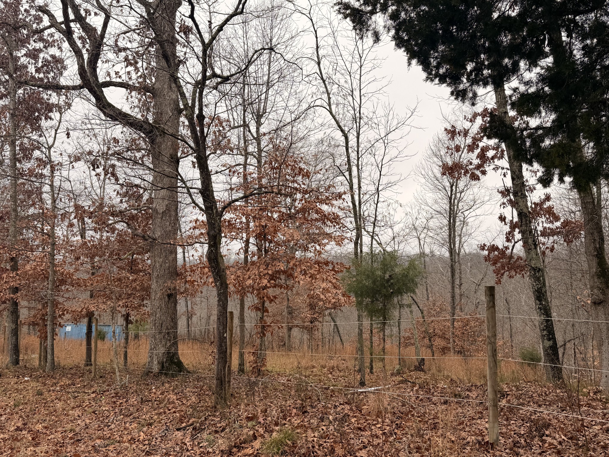 43 Trailwood Court Joelton TN 37080