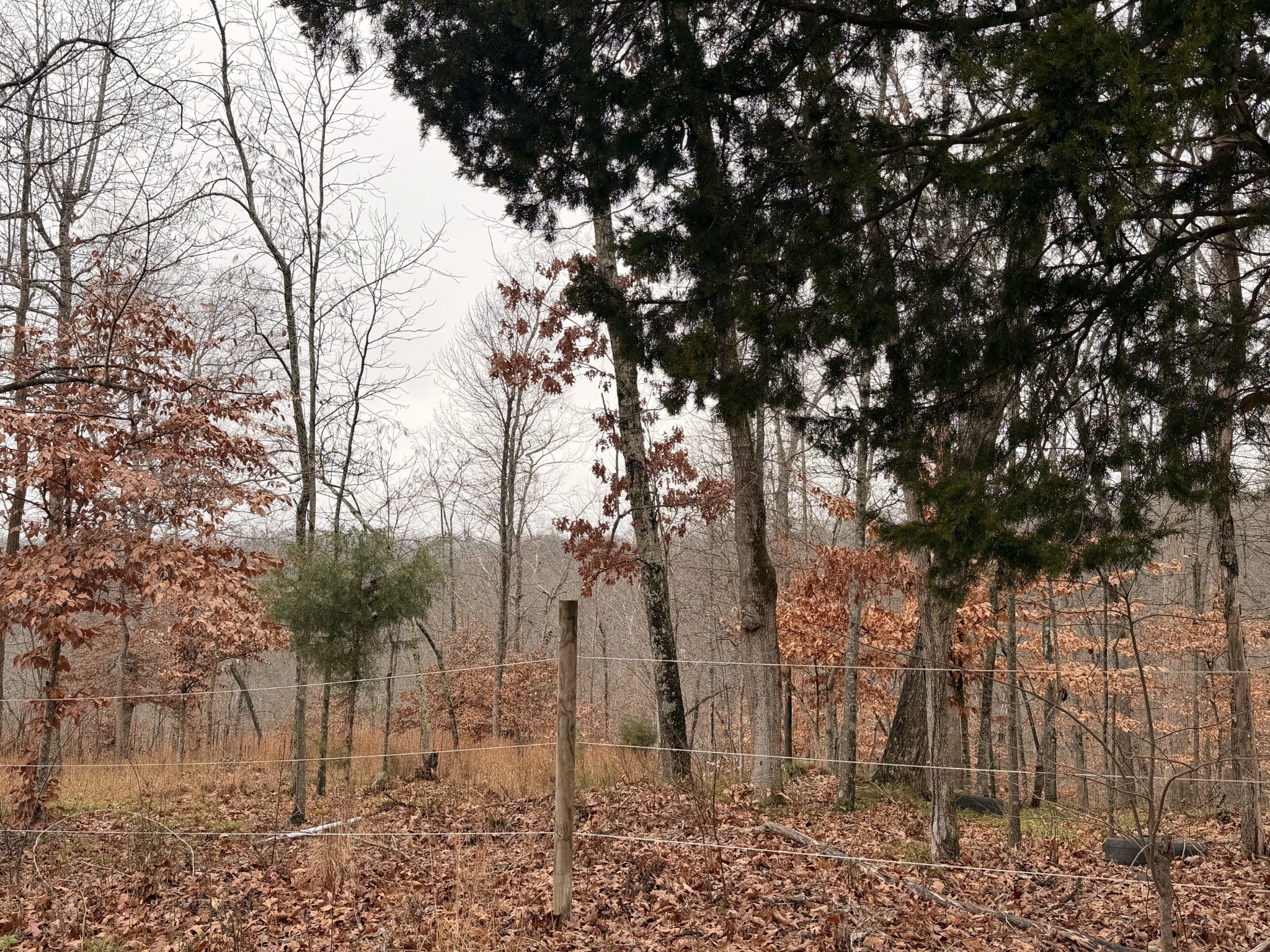 43 Trailwood Court Joelton TN 37080