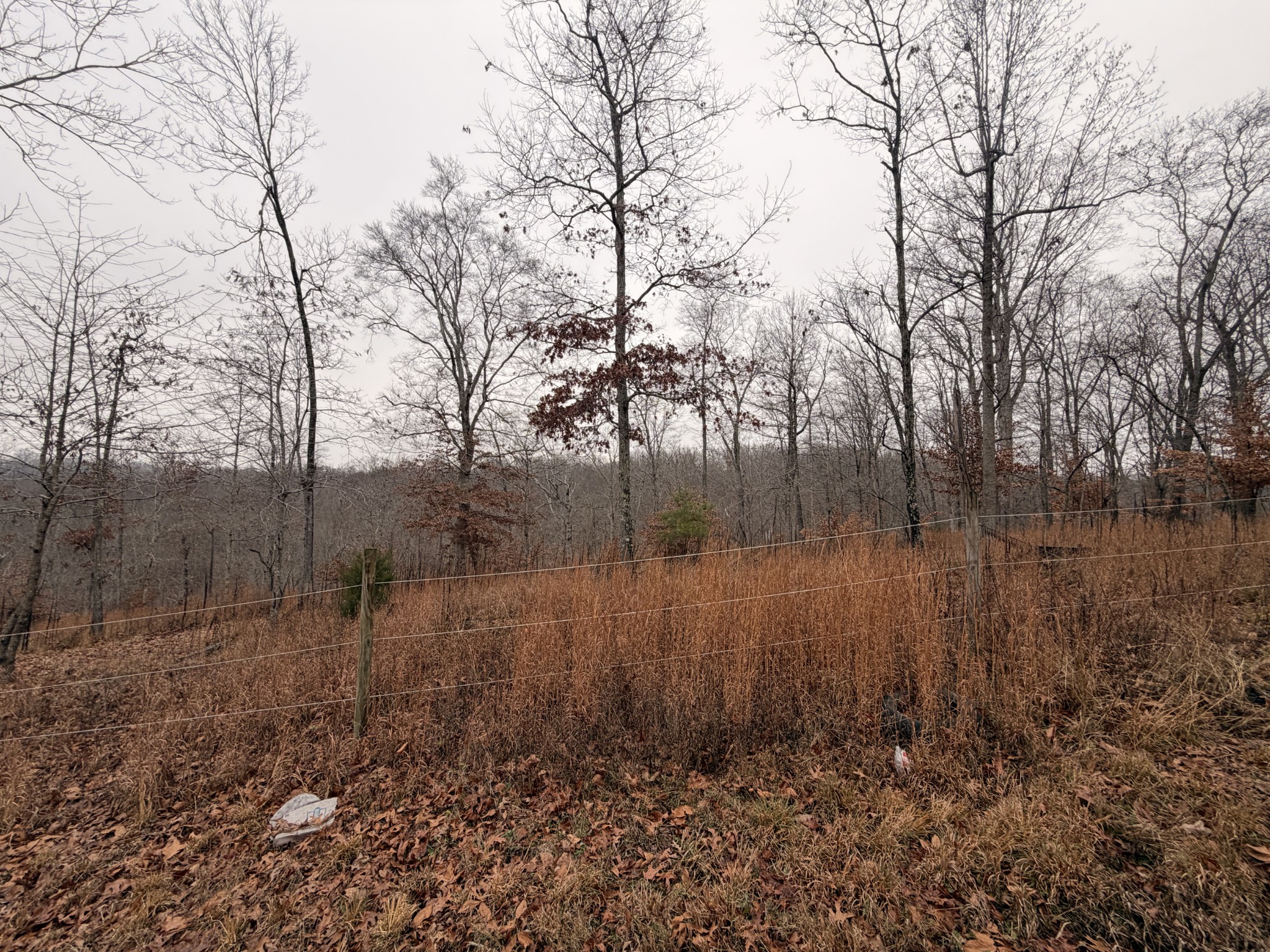 43 Trailwood Court Joelton TN 37080
