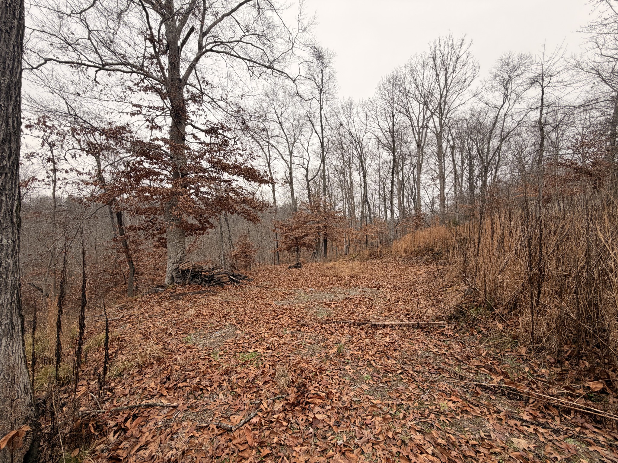 43 Trailwood Court Joelton TN 37080