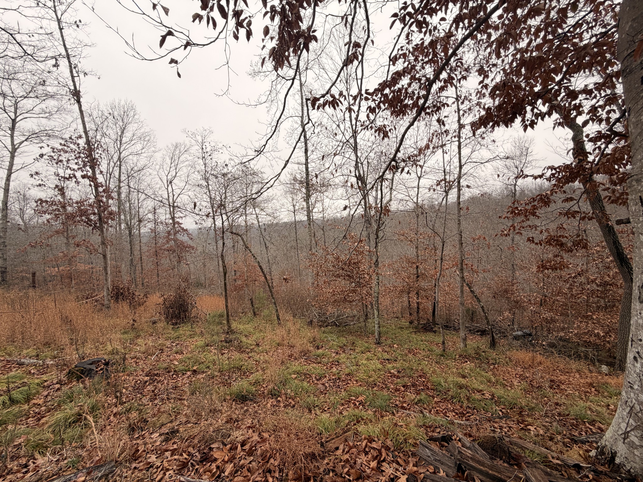 43 Trailwood Court Joelton TN 37080