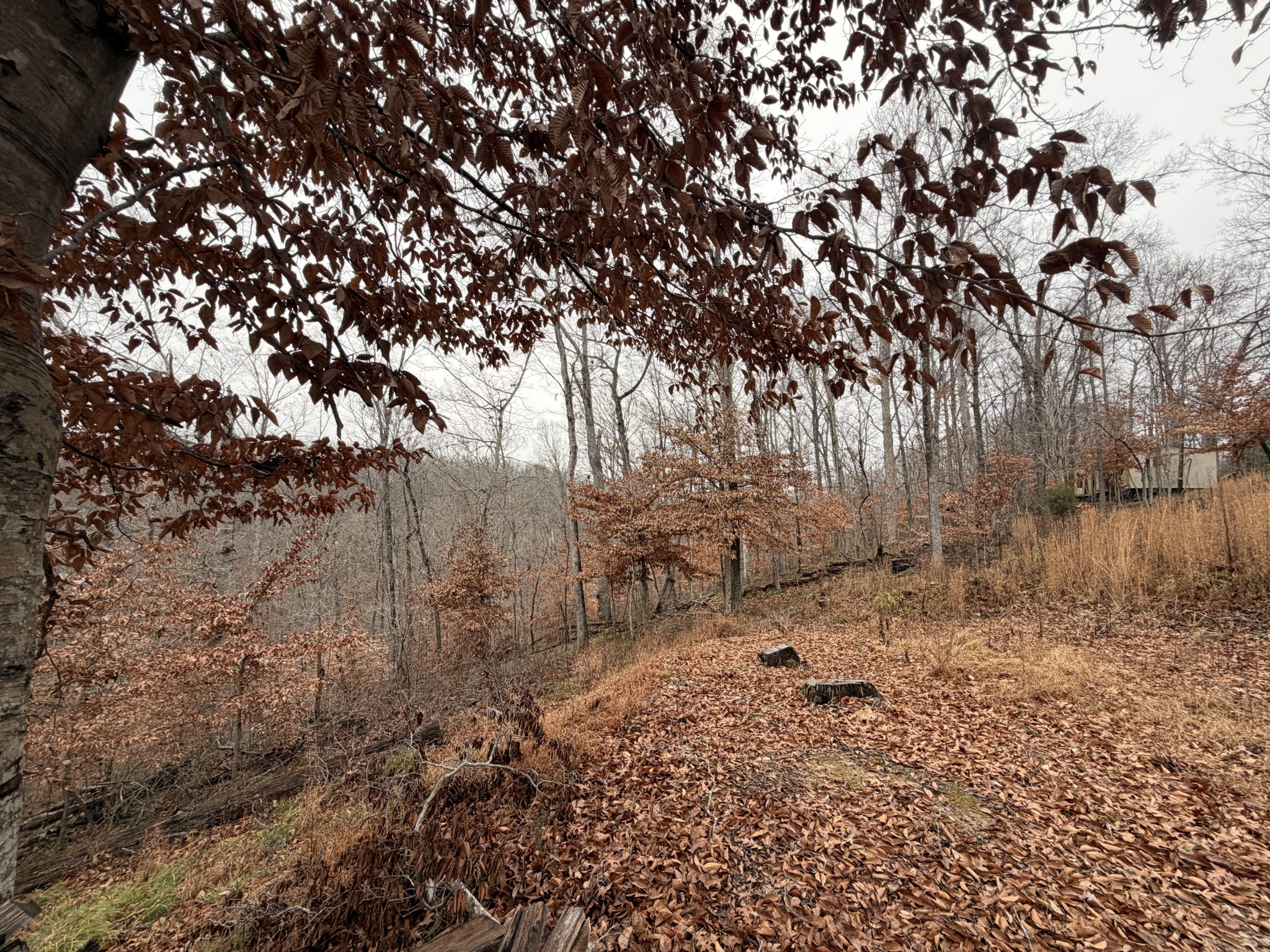 43 Trailwood Court Joelton TN 37080