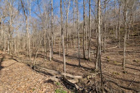 0 Hurricane Creek Road Linden TN 37096