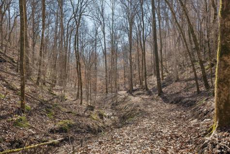 0 Hurricane Creek Road Linden TN 37096