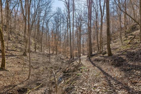 0 Hurricane Creek Road Linden TN 37096