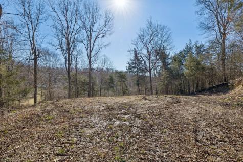 0 Hurricane Creek Road Linden TN 37096