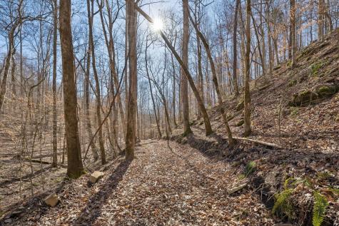 0 Hurricane Creek Road Linden TN 37096