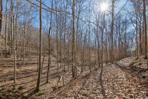 0 Hurricane Creek Road Linden TN 37096