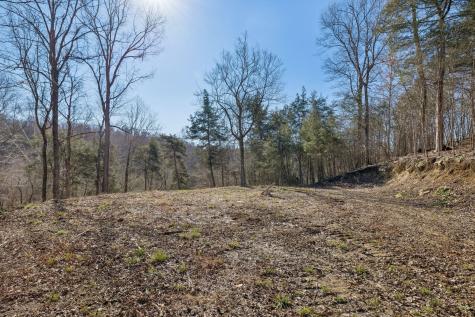 0 Hurricane Creek Road Linden TN 37096