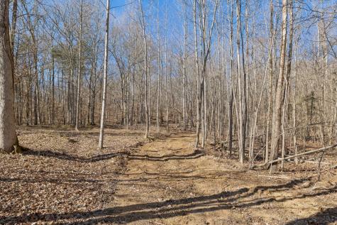0 Hurricane Creek Road Linden TN 37096