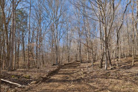 0 Hurricane Creek Road Linden TN 37096