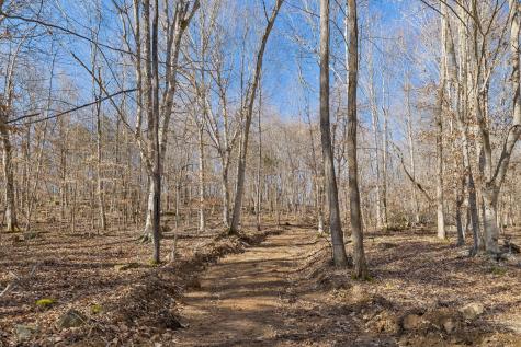 0 Hurricane Creek Road Linden TN 37096
