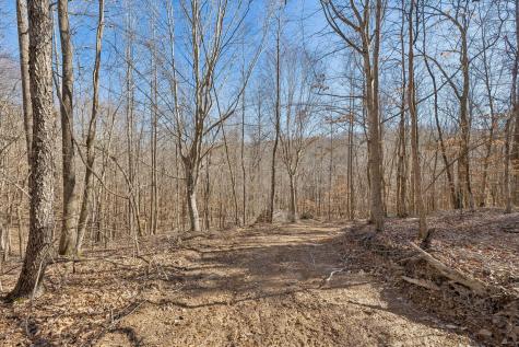 0 Hurricane Creek Road Linden TN 37096