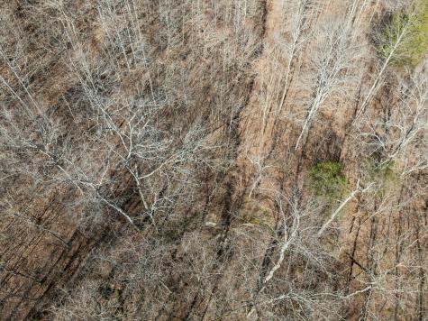 0 Hurricane Creek Road Linden TN 37096