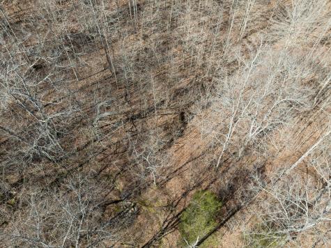 0 Hurricane Creek Road Linden TN 37096