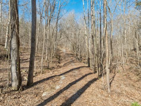 0 Hurricane Creek Road Linden TN 37096